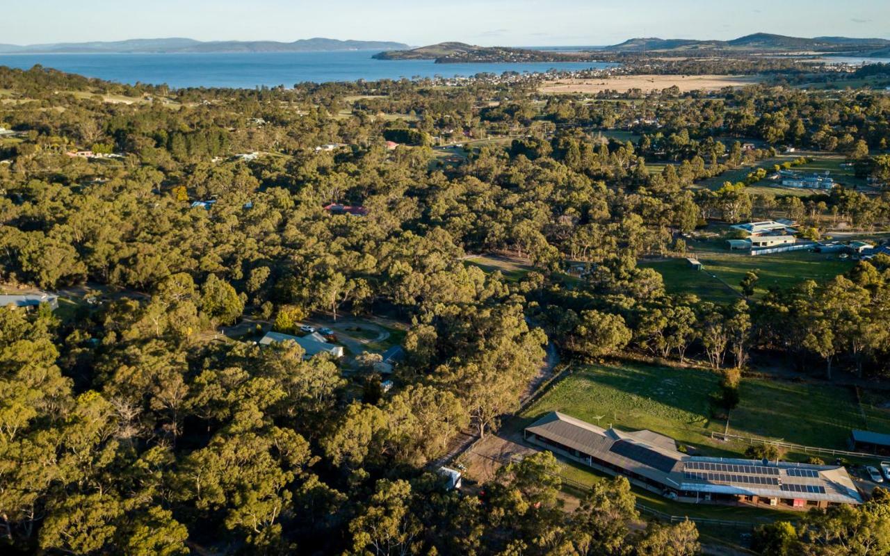 Acton Park Holiday Units ภายนอก รูปภาพ